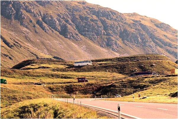 夢到貓在我的床底捉老鼠是什麼啟示_周公解夢官網