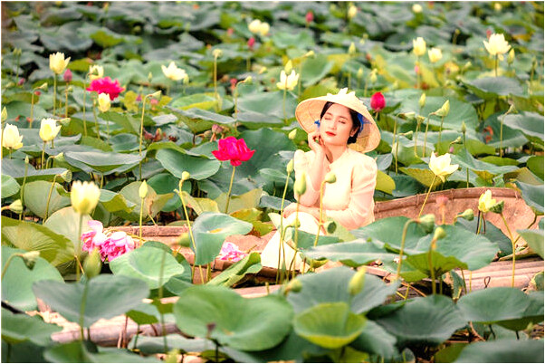 夢到了汽車輪沒氣預示著什麼_周公解夢官網