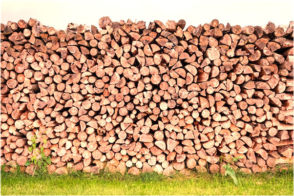 夢到在水裡被電擊會是什麼預兆_周公解夢官網