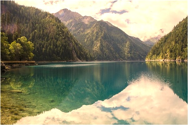 夢到割自己手掌是什麼預兆_周公解夢官網