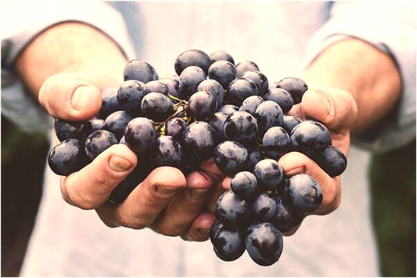 夢見手指劃破流血怎么回事_周公解夢官網