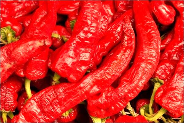 夢見陌生男人搶我的手電筒預示了什麼_周公解夢官網