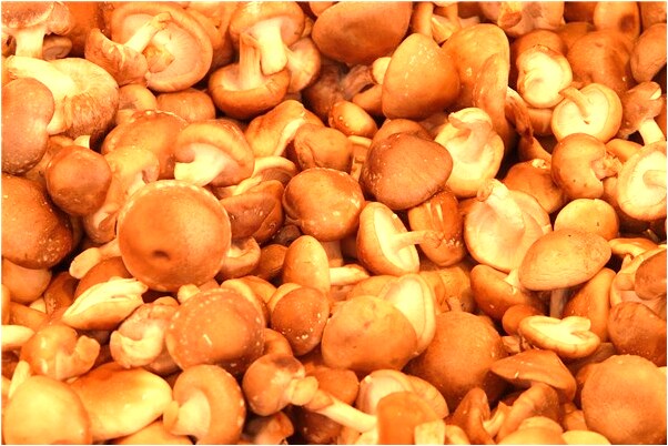 夢到了脫離父親預示什麼_周公解夢官網