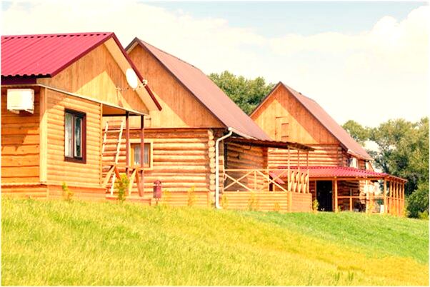 夢到倒了盆里的水代表著什麼？_周公解夢官網