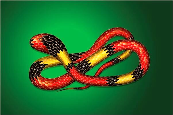 夢見自己弄傷鼻子是怎么回事_周公解夢官網