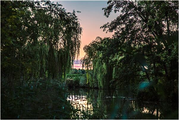 夢到喜歡的男生吻我預示著什麼_周公解夢官網