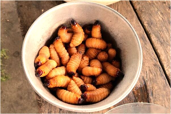 夢到親人的絕症意味著什麼_周公解夢官網