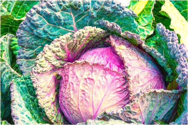 夢到了穿著衣服洗澡洗頭是什麼徵兆_周公解夢官網