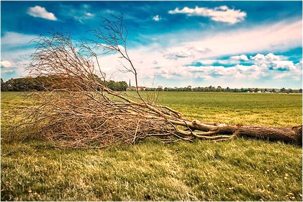 夢到一班老同學有何寓意_周公解夢官網