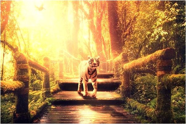 夢見外婆和我說話是好的徵兆嗎_周公解夢官網