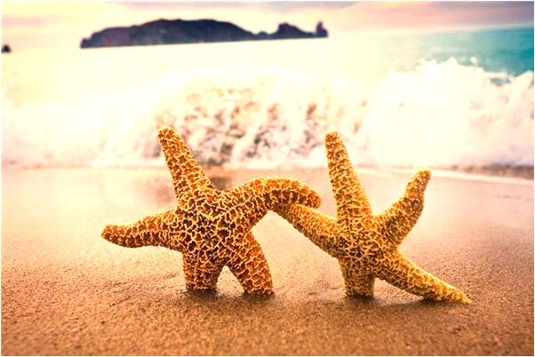 夢到了三根電線被切斷為什麼有什麼意思_周公解夢官網