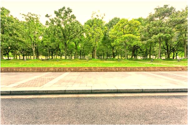 夢見在路上撿裙子怎么回事_周公解夢官網