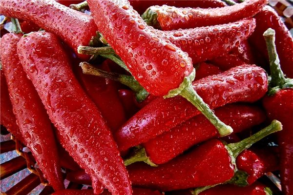 夢見辣椒是什麼意思_周公解夢