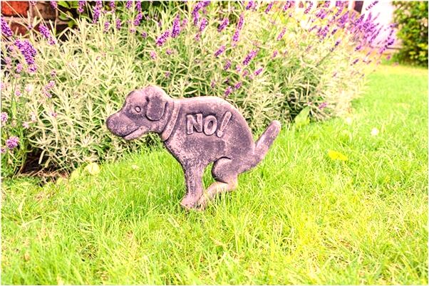 夢到女兒被我罵後從樓上掉下是咋回事_周公解夢官網