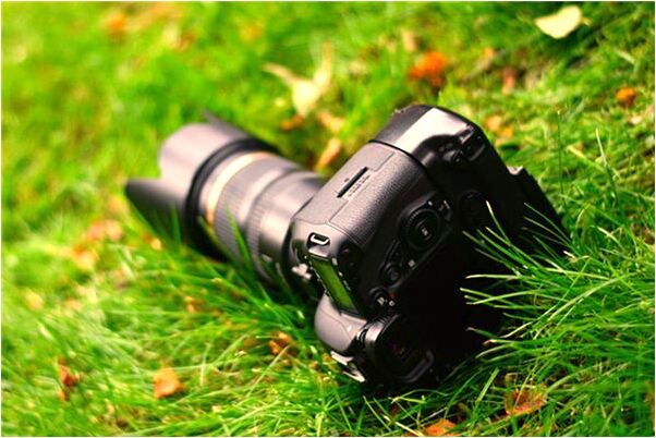 夢見香被撇斷了是怎么回事_周公解夢官網