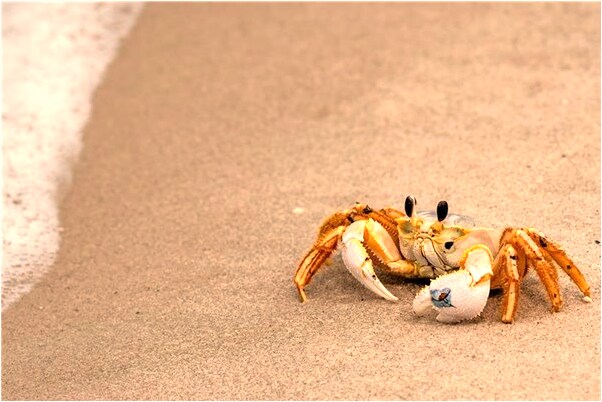 夢到了搬進新房子是啥意思_周公解夢官網