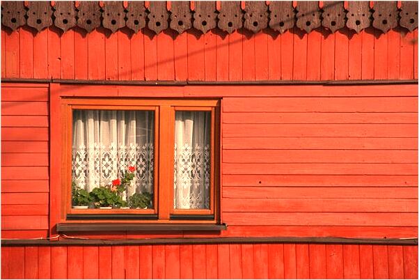 夢見狗被藥死是好是壞_周公解夢官網