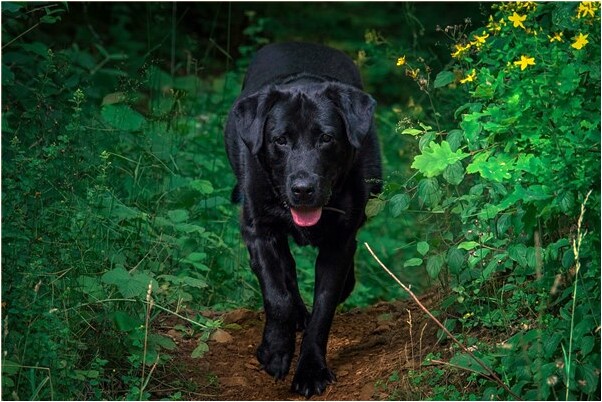 夢到了前男友對我糾纏不休有什麼預兆_周公解夢官網