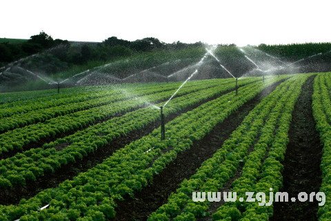Dream of irrigation