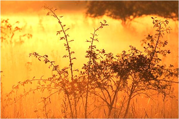 夢到水桶裝著清水是吉兆嗎?_周公解夢官網