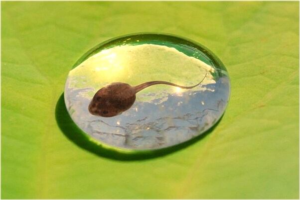 夢見很久沒見的親人有什麼意義嗎_周公解夢官網