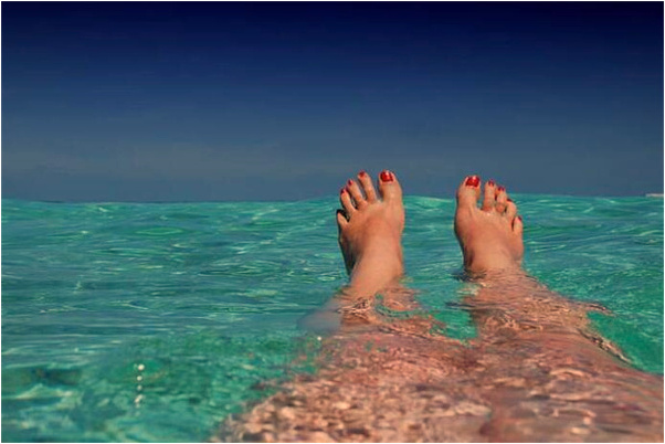 夢到豬都死了就剩下一隻有什麼意義嗎_周公解夢官網