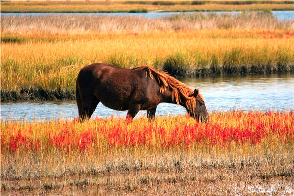 夢見看見校長自己沒搭理代表什麼_周公解夢官網