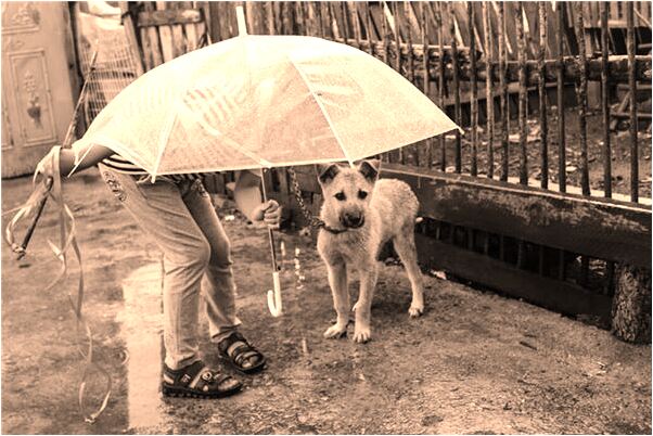 夢到自己裸體在河裡和朋友洗澡預示什麼_周公解夢官網