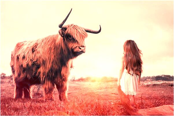 夢見超級賽亞人是什麼徵兆_周公解夢官網