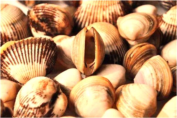 夢見撿個財神爺有什麼預兆_周公解夢官網