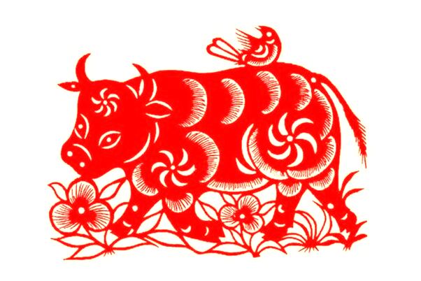 夢到姐姐的兒子來家裡是什麼意思_周公解夢官網