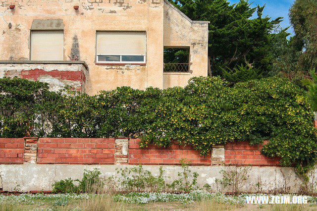夢見抱著小男孩撒尿_周公解夢夢到抱著小男孩撒尿是什麼意思_做夢夢見抱著小男孩撒尿好不好_周公解夢官網
