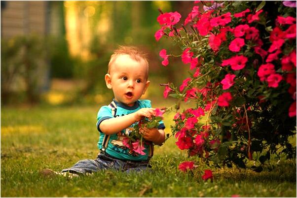 夢見遠方來了一輛車是好事還是壞事_周公解夢官網