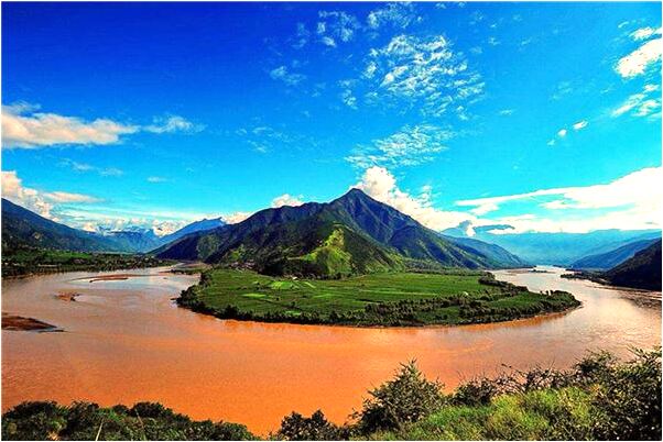 夢見狗的頭被砸斷了腦漿血怎么說_周公解夢官網