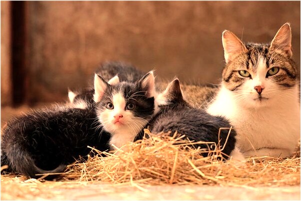 夢到了和家人爬山怎么樣_周公解夢官網