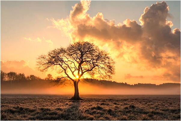 夢到軟計算及其套用是好的徵兆嗎_周公解夢官網