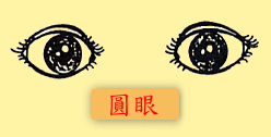 Eyes: round eyes