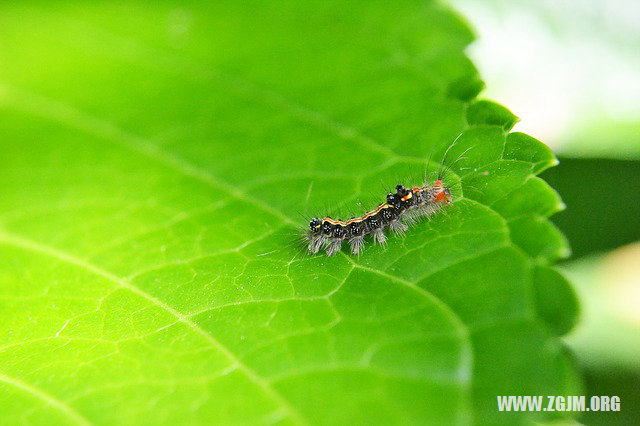 夢見下坡路_周公解夢夢到下坡路是什麼意思_做夢夢見下坡路好不好_周公解夢官網