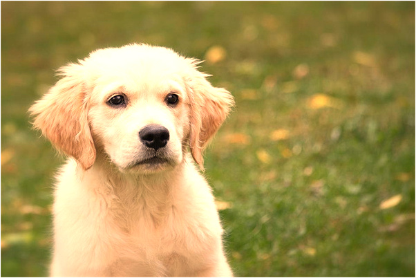 夢到了自己鍛鍊身體什麼預兆_周公解夢官網