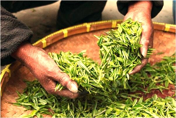 夢到了老婆刷鍋時我把鍋打破了好不好_周公解夢官網