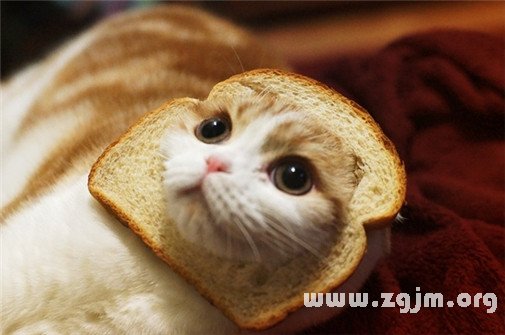 屬於天秤座你的專屬歌詞_十二星座