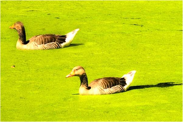 夢到女友沒穿褲子代表什麼_周公解夢官網