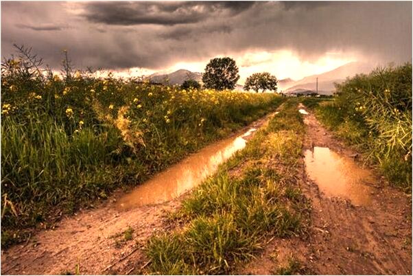 夢到了捉賊遭賊報復怎么說_周公解夢官網