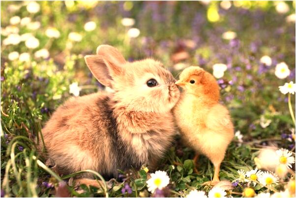 夢見手腕被人割怎么回事_周公解夢官網