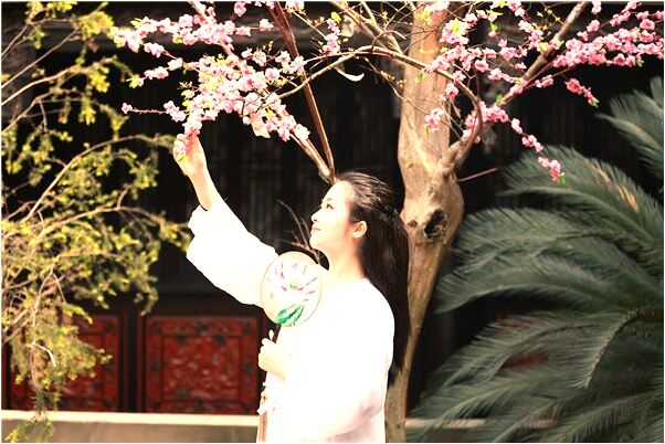 夢到了好多羊落水代表著什麼_周公解夢官網