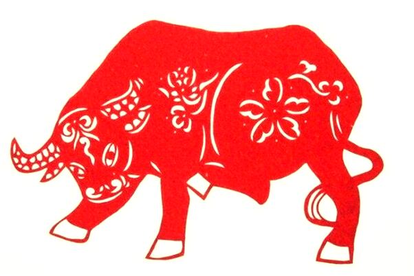 夢到把小鳥剪死代表著什麼_周公解夢官網