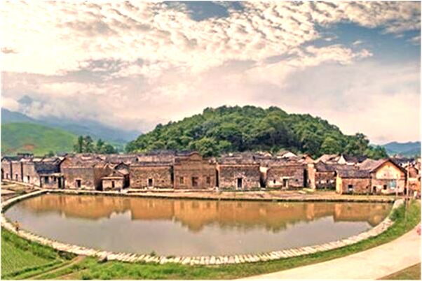 夢見騎電動車被豹子追預兆了什麼嗎_周公解夢官網