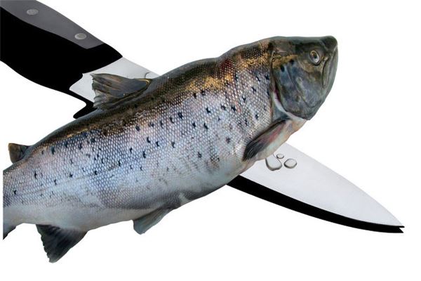 夢見自己在剖魚_周公解夢