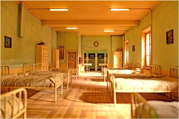 夢到動物空中飛預兆了什麼嗎_周公解夢官網