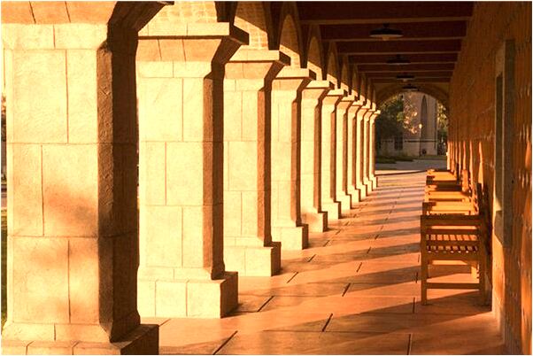 夢到了吃了一口魚肉是好的徵兆嗎_周公解夢官網